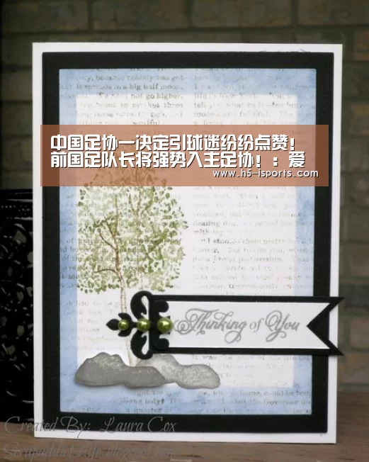 中国足协一决定引球迷纷纷点赞! 前国足队长将强势入主足协!:爱体育登录入口(图2) 爱体育登录入口