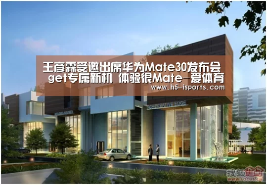 王彦霖受邀出席华为Mate30发布会 get专属新机 体验很Mate-爱体育登录(图1) 爱体育登录